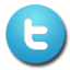 twitter button